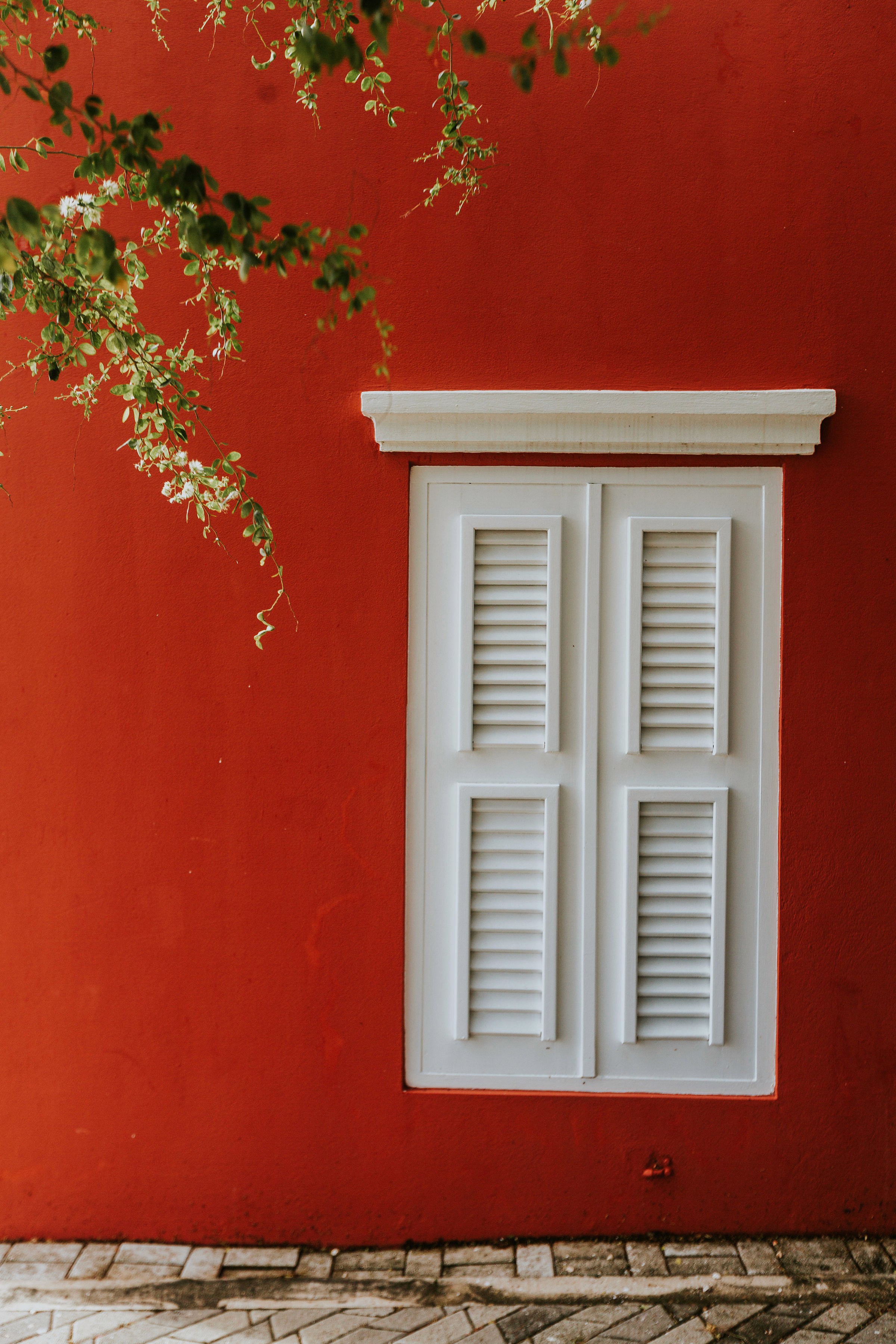 A white shutter set into a deep red Aruba wall.